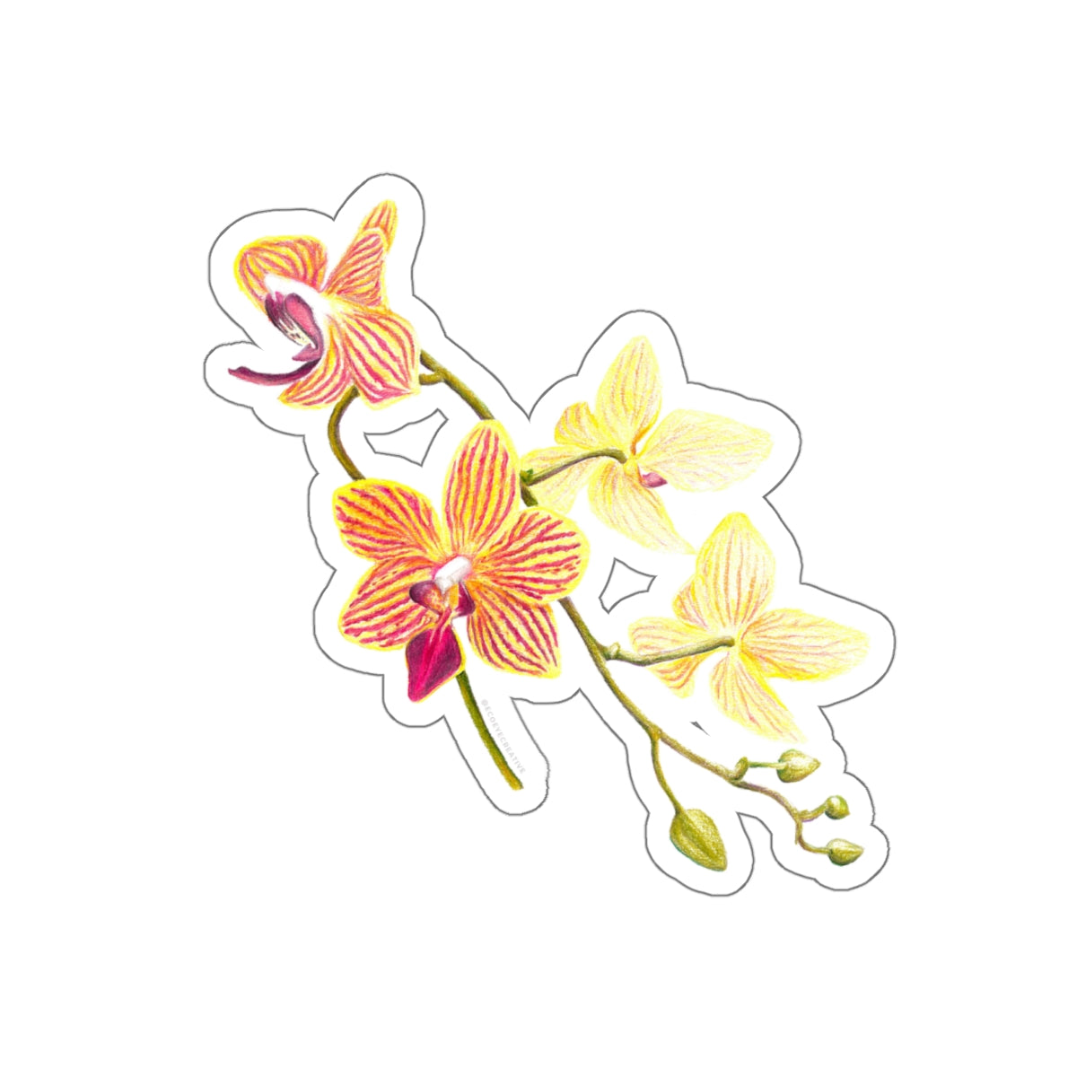 Vibrant Floral Die-Cut Stickers for Personalization, Laptop Decor, Water Bottles, Scrapbooking, Gifts