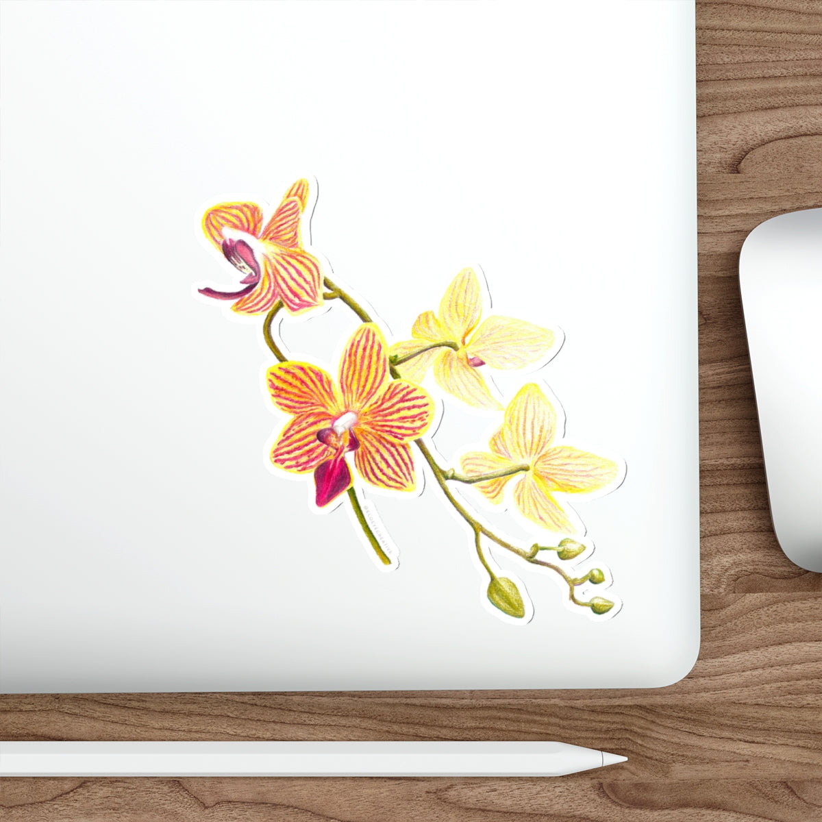 Vibrant Floral Die-Cut Stickers for Personalization, Laptop Decor, Water Bottles, Scrapbooking, Gifts