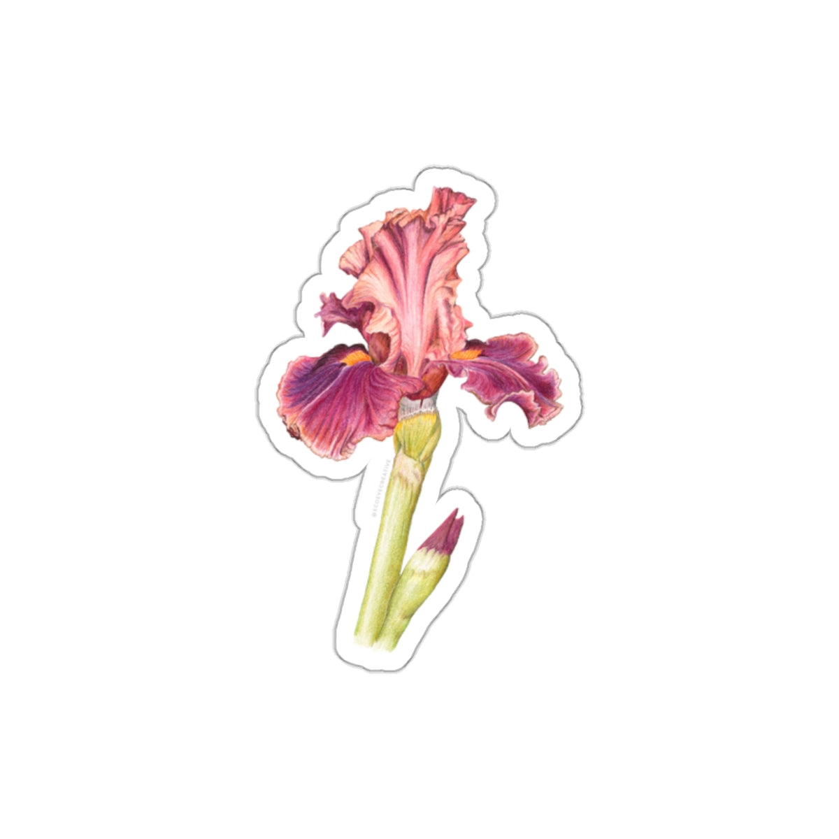 Elegant Iris Die-Cut Stickers - Floral Design for Personalization
