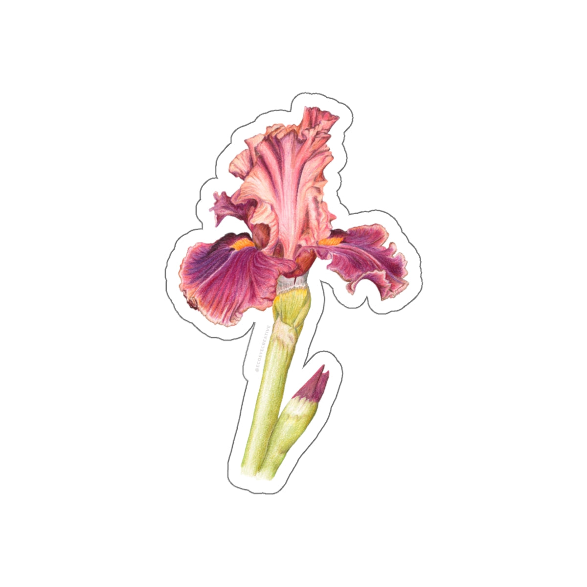 Elegant Iris Die-Cut Stickers - Floral Design for Personalization