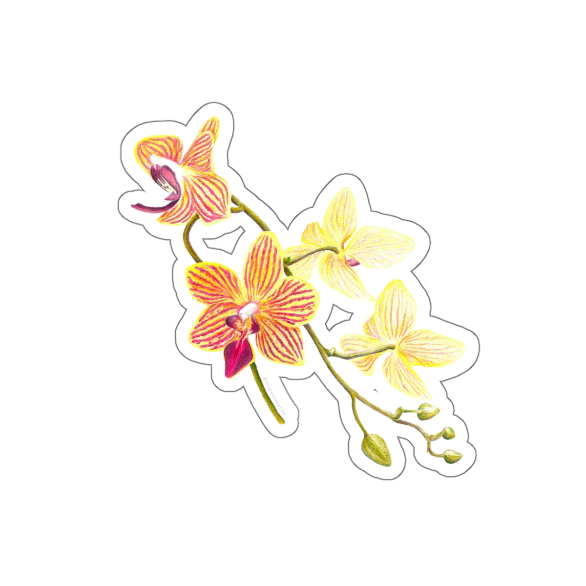 Vibrant Floral Die-Cut Stickers for Personalization, Laptop Decor, Water Bottles, Scrapbooking, Gifts