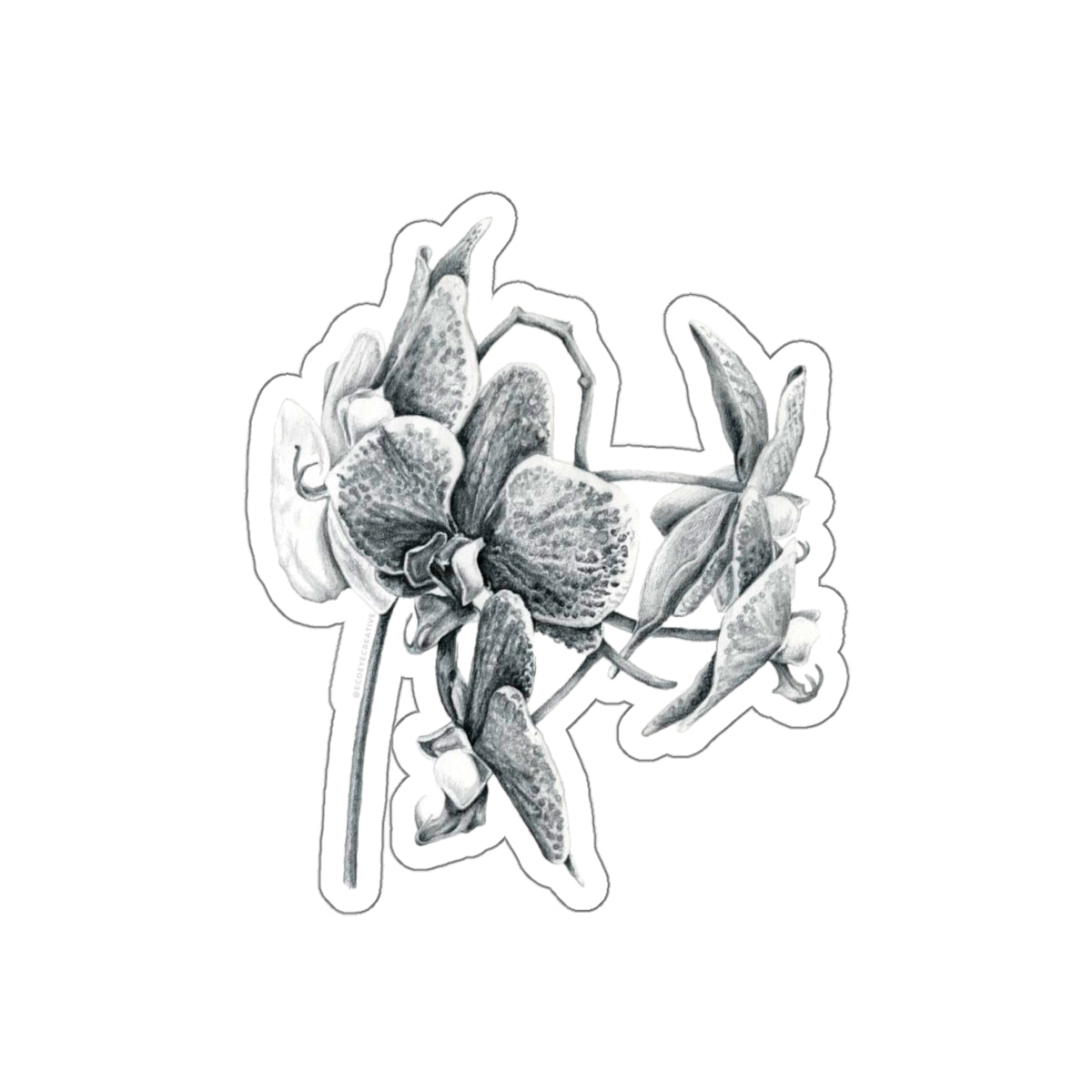 Elegant Orchid Die-Cut Stickers | Floral Laptop Decals, Nature-Inspired Decor