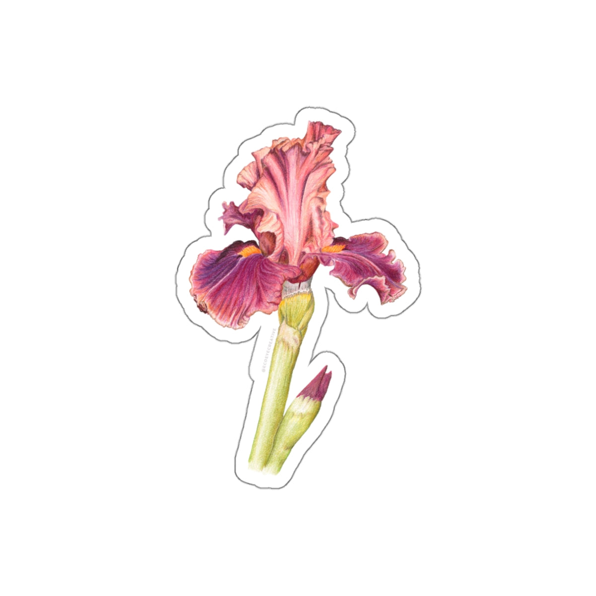 Elegant Iris Die-Cut Stickers - Floral Design for Personalization