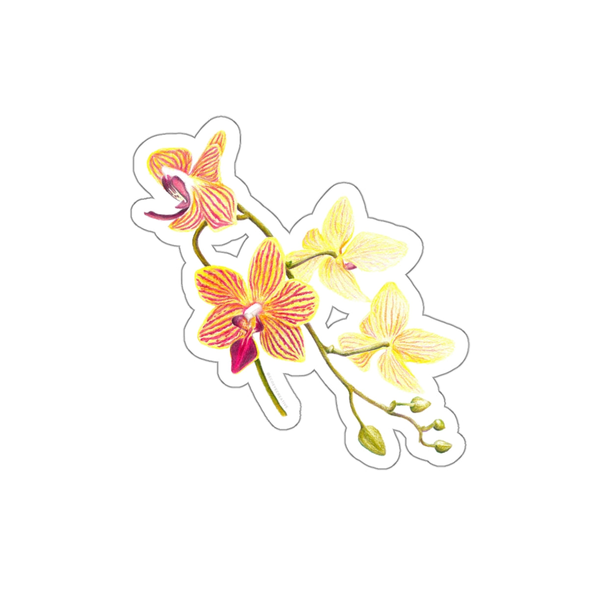 Vibrant Floral Die-Cut Stickers for Personalization, Laptop Decor, Water Bottles, Scrapbooking, Gifts