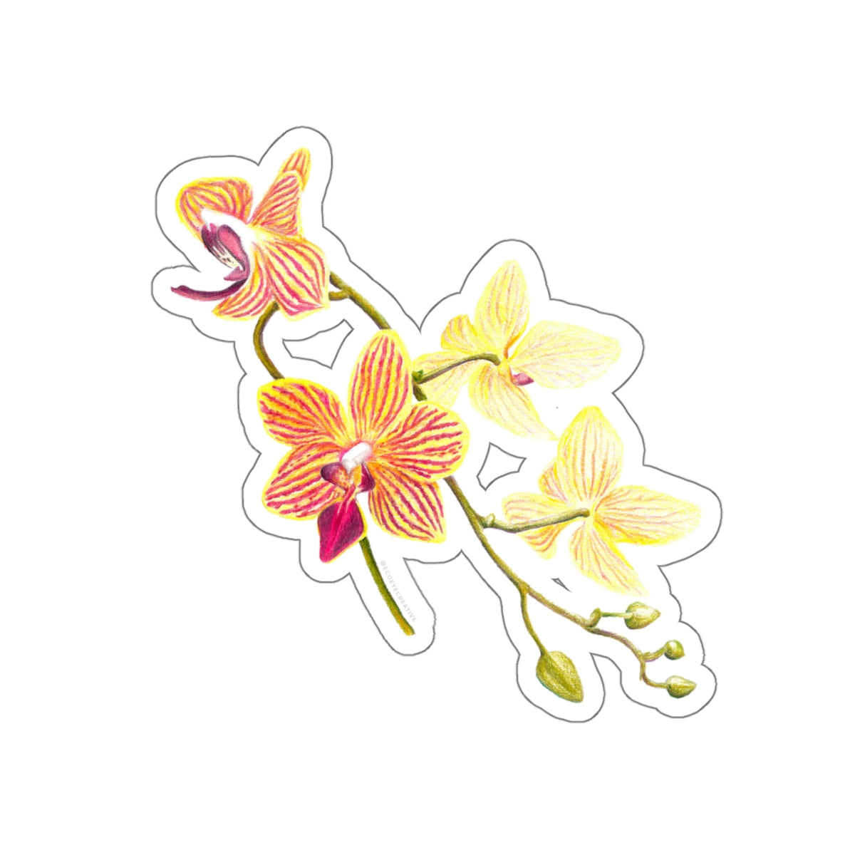 Vibrant Floral Die-Cut Stickers for Personalization, Laptop Decor, Water Bottles, Scrapbooking, Gifts