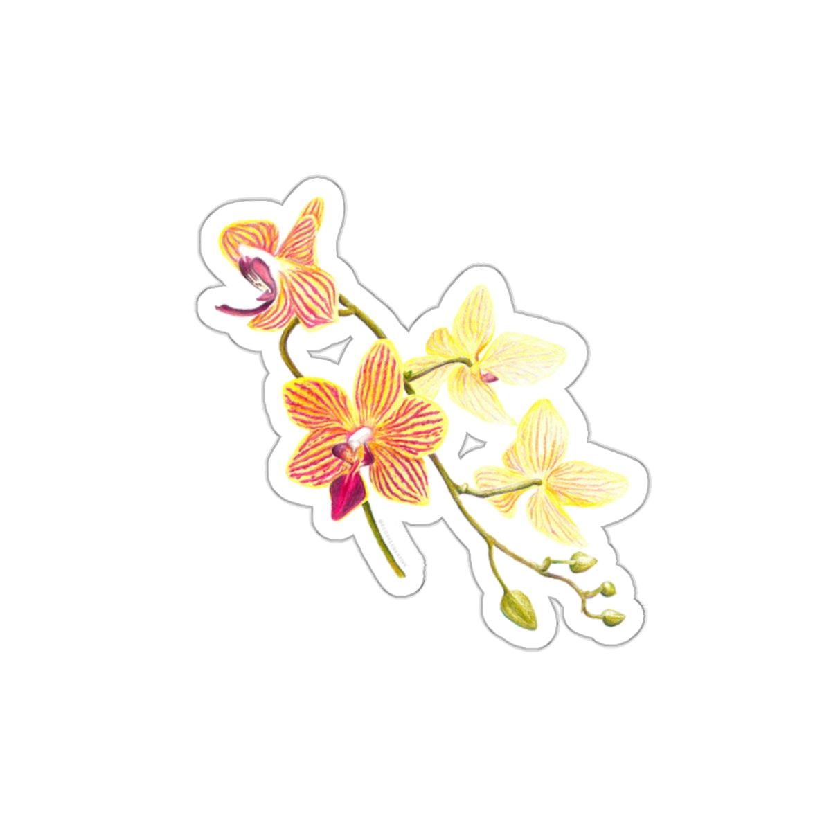 Vibrant Floral Die-Cut Stickers for Personalization, Laptop Decor, Water Bottles, Scrapbooking, Gifts