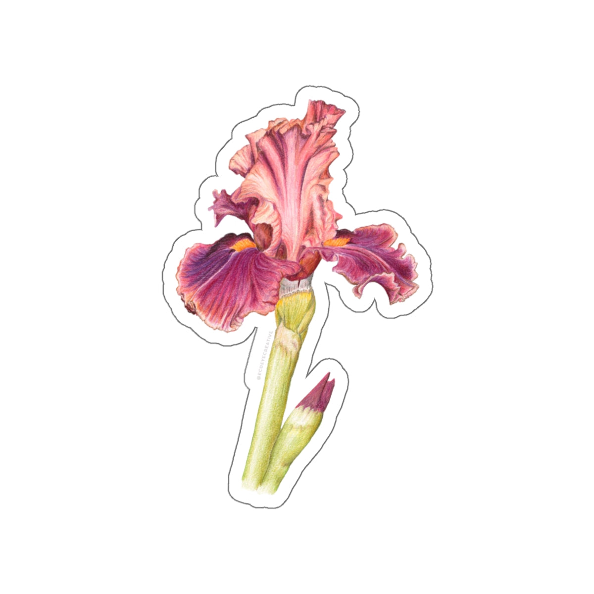 Elegant Iris Die-Cut Stickers - Floral Design for Personalization