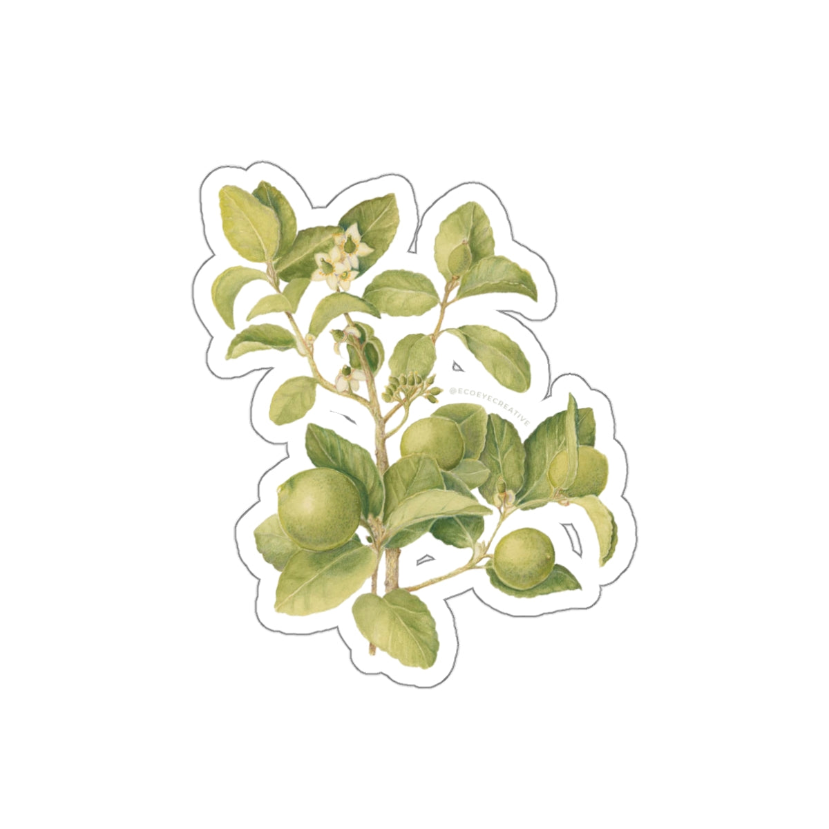 Key Lime Tree Die-Cut Stickers - Nature-Inspired Design for Eco Lovers