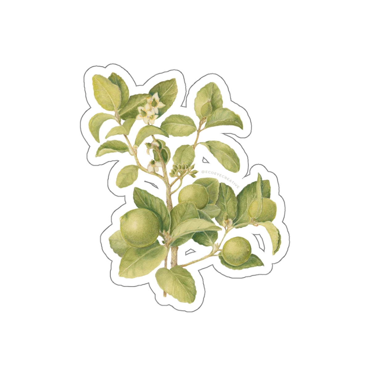 Key Lime Tree Die-Cut Stickers - Nature-Inspired Design for Eco Lovers