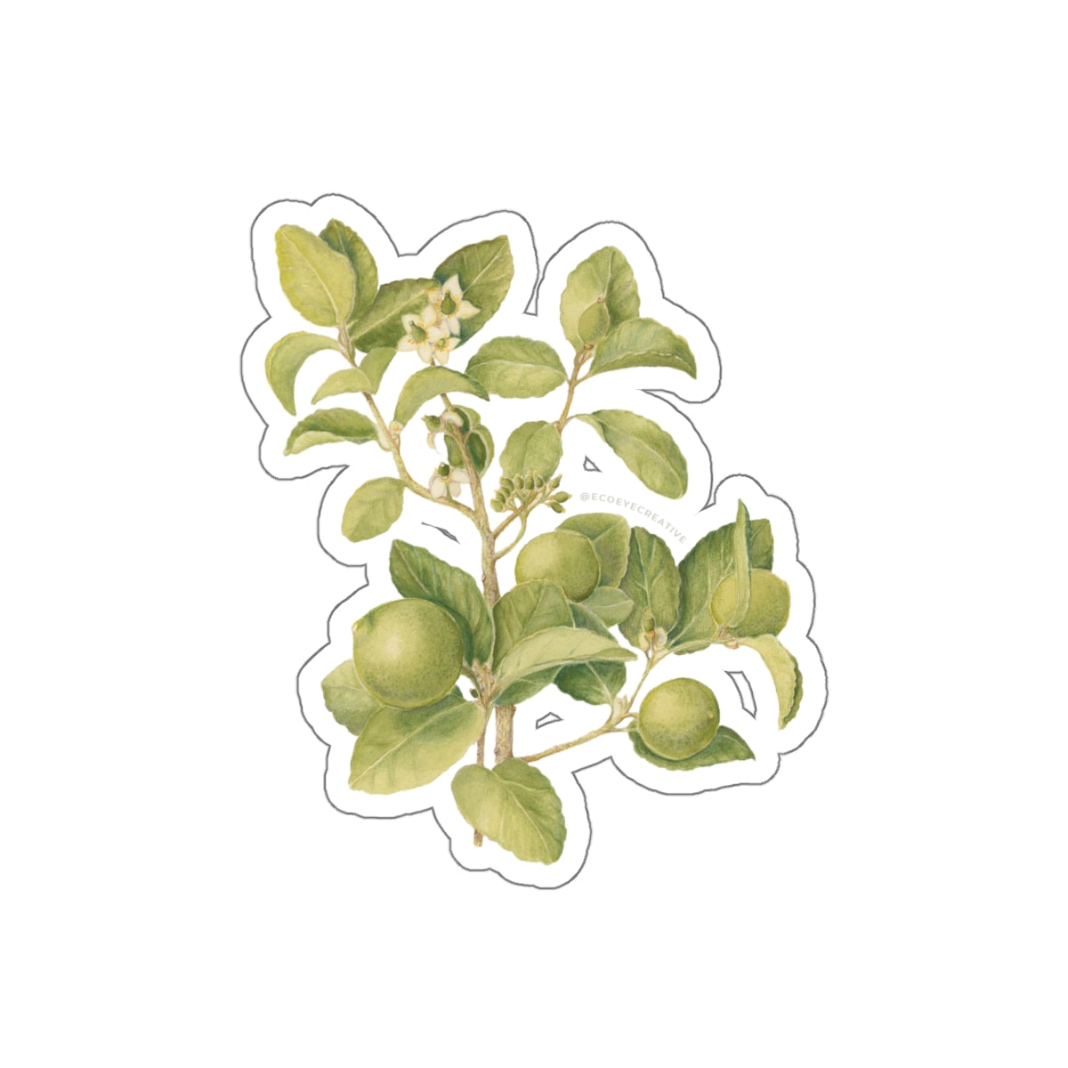 Key Lime Tree Die-Cut Stickers - Nature-Inspired Design for Eco Lovers