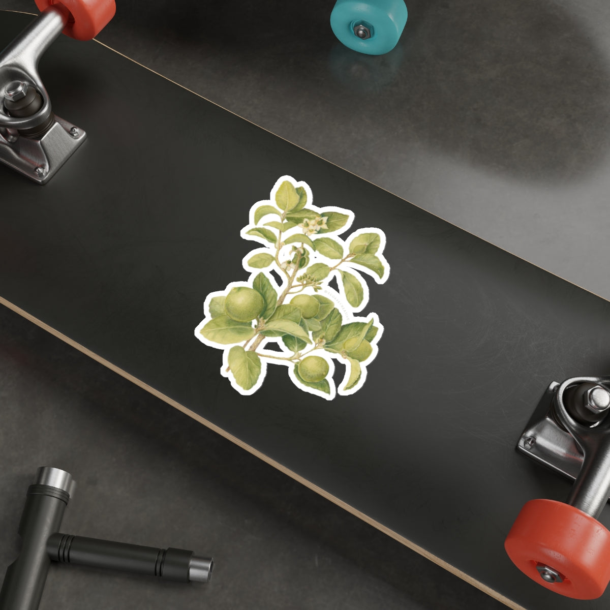 Key Lime Tree Die-Cut Stickers - Nature-Inspired Design for Eco Lovers