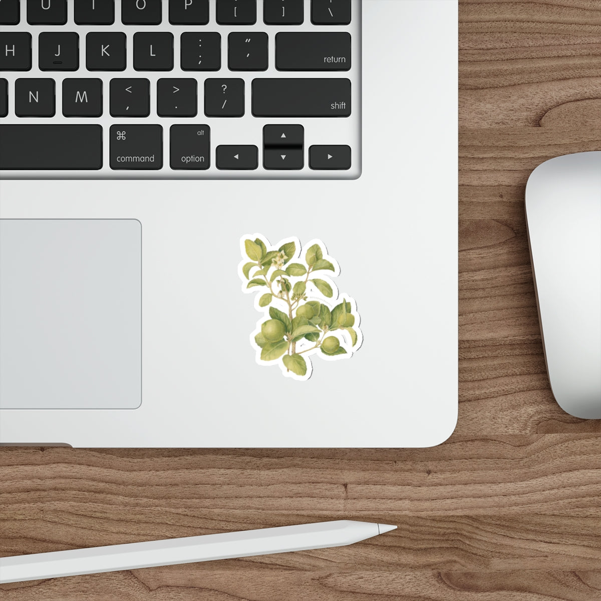 Key Lime Tree Die-Cut Stickers - Nature-Inspired Design for Eco Lovers