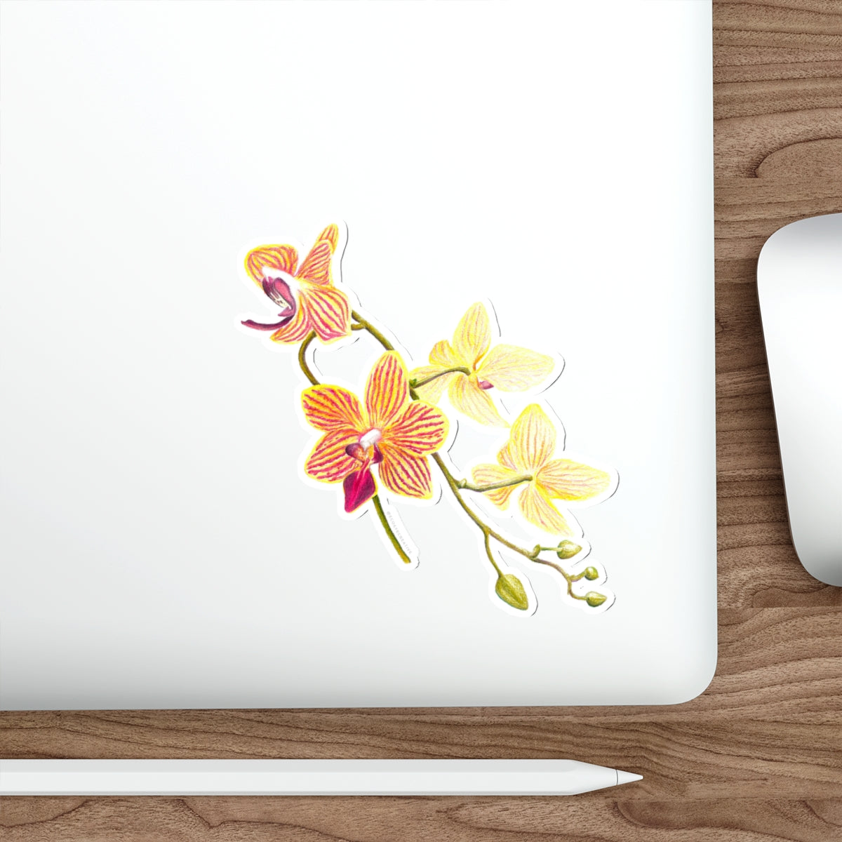 Vibrant Floral Die-Cut Stickers for Personalization, Laptop Decor, Water Bottles, Scrapbooking, Gifts