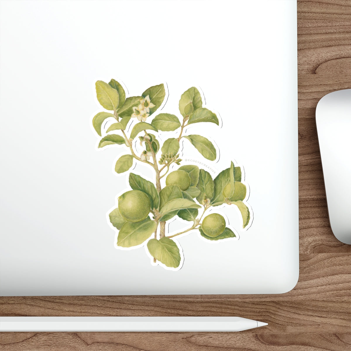 Key Lime Tree Die-Cut Stickers - Nature-Inspired Design for Eco Lovers