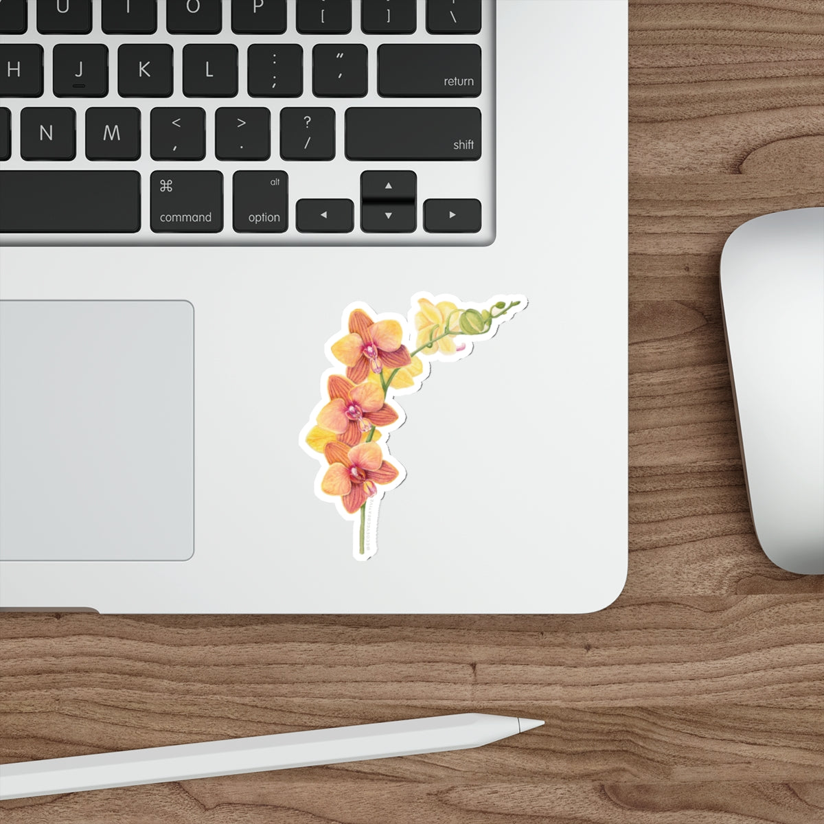 Blooming Orchid Die-Cut Stickers | Floral Laptop Decor | Perfect for Gift Giving