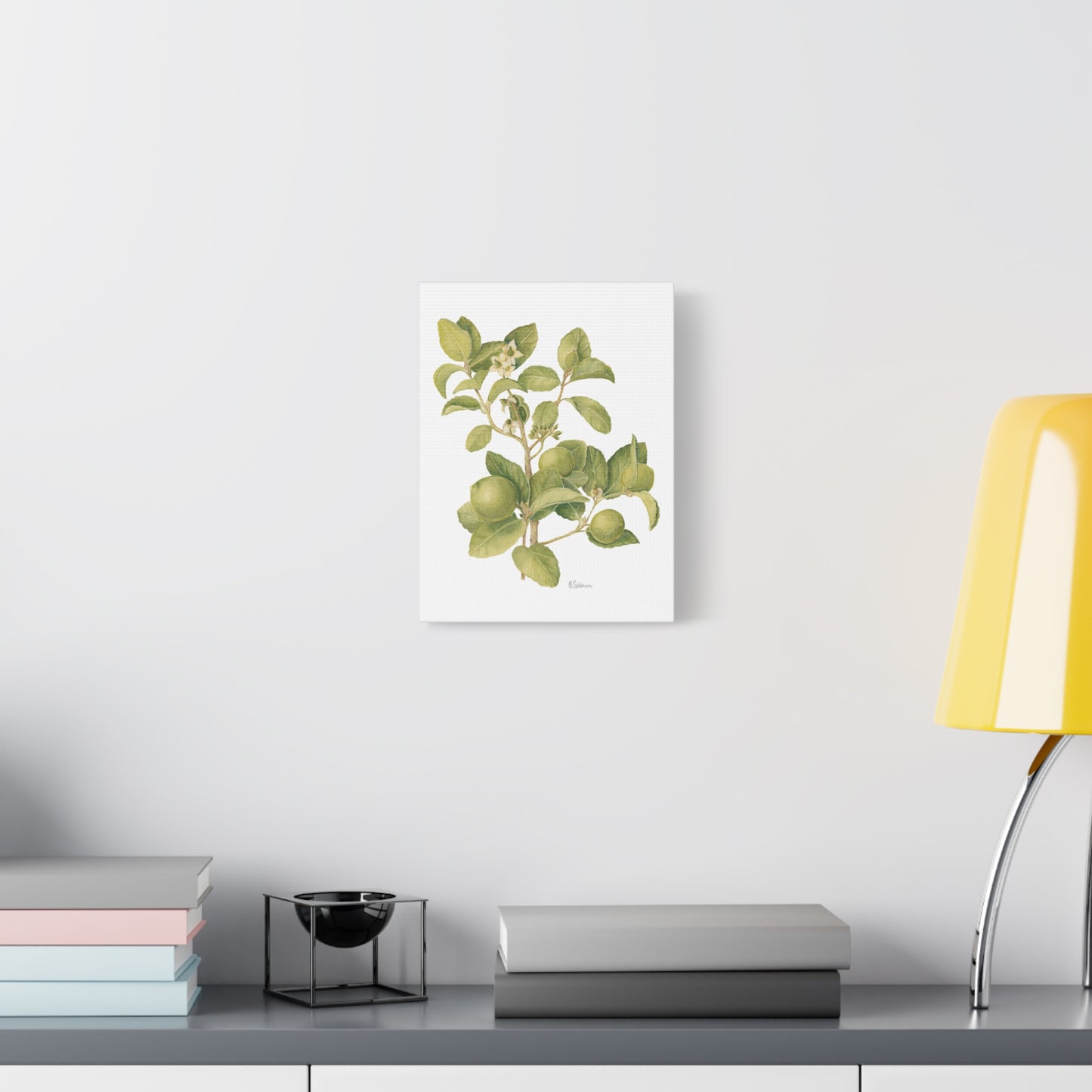 Key Lime Vintage Botanical Wall Art - Citrus Branch Canvas Print