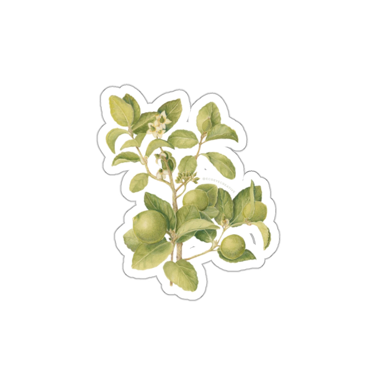 Key Lime Tree Die-Cut Stickers - Nature-Inspired Design for Eco Lovers