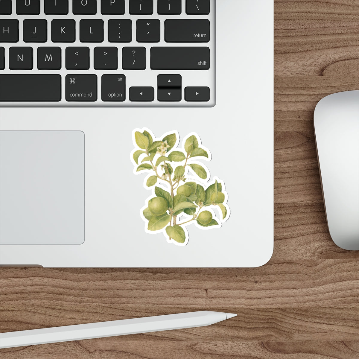 Key Lime Tree Die-Cut Stickers - Nature-Inspired Design for Eco Lovers