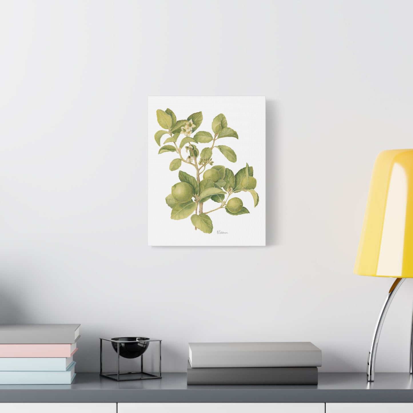 Key Lime Vintage Botanical Wall Art - Citrus Branch Canvas Print