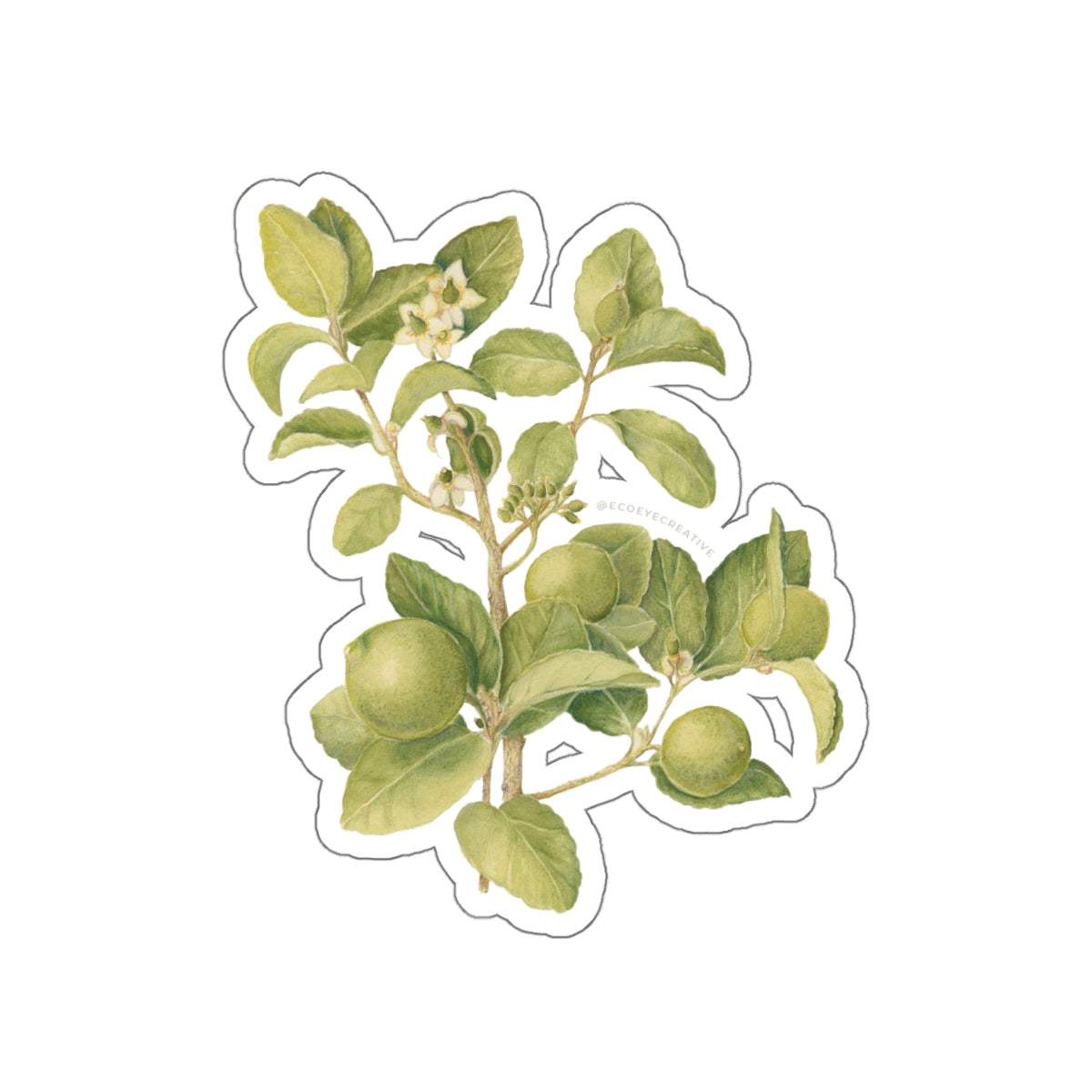 Key Lime Tree Die-Cut Stickers - Nature-Inspired Design for Eco Lovers