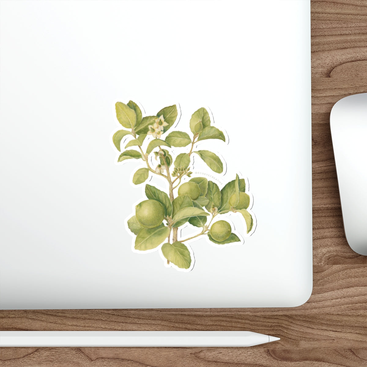 Key Lime Tree Die-Cut Stickers - Nature-Inspired Design for Eco Lovers