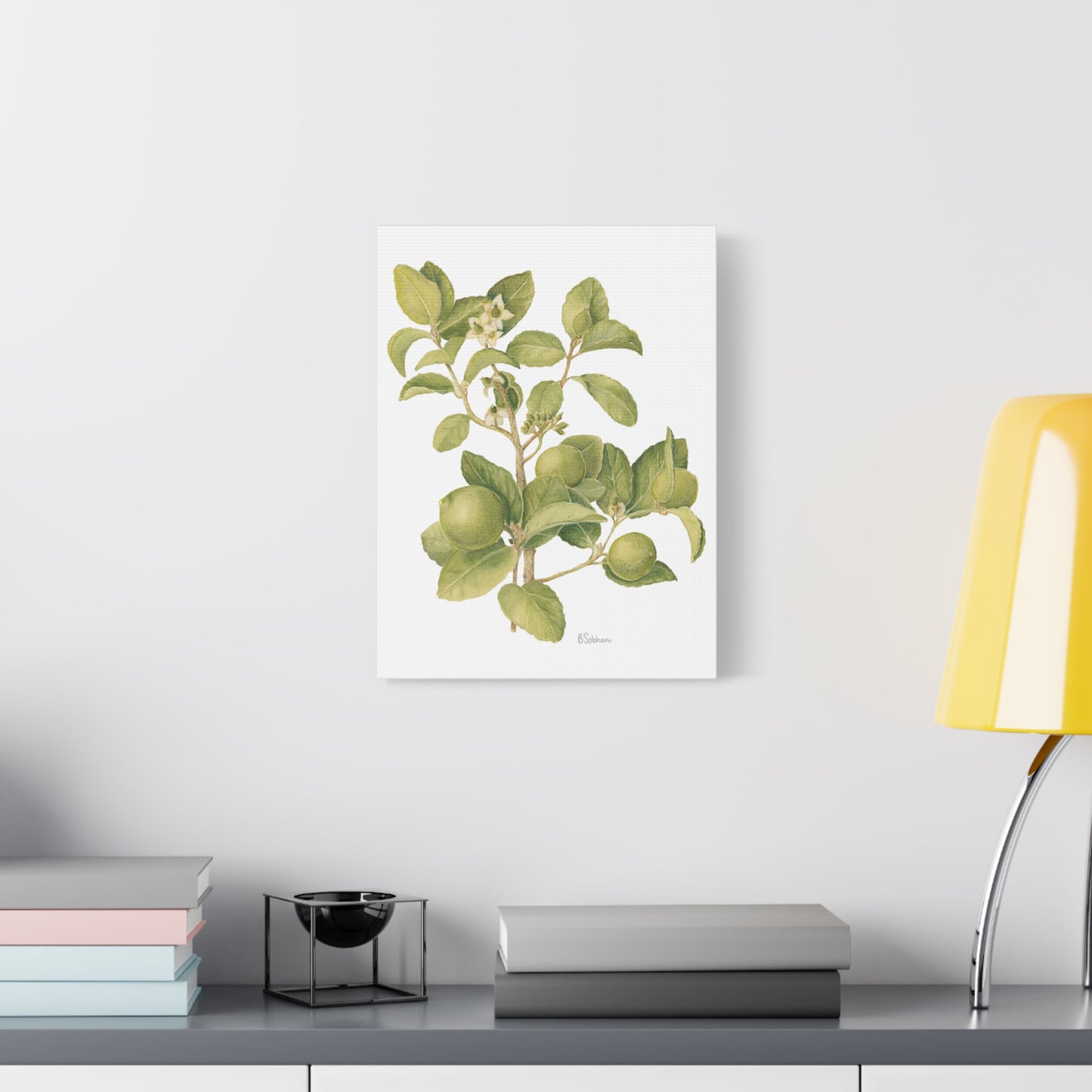Key Lime Vintage Botanical Wall Art - Citrus Branch Canvas Print
