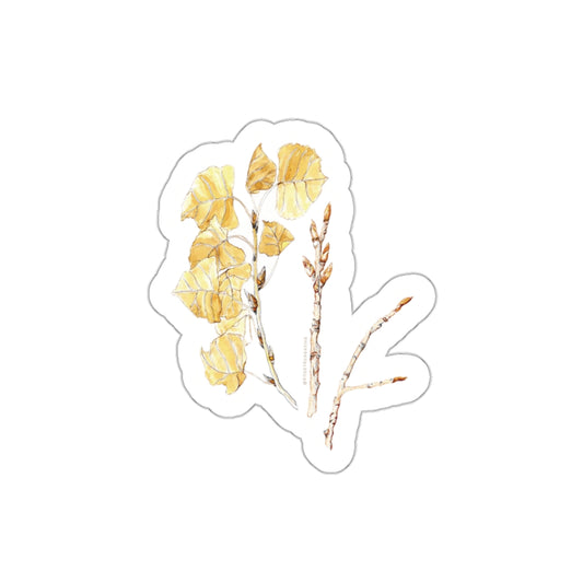 Botanical Die-Cut Stickers - Aesthetic Floral Adhesives for Laptops & Journals